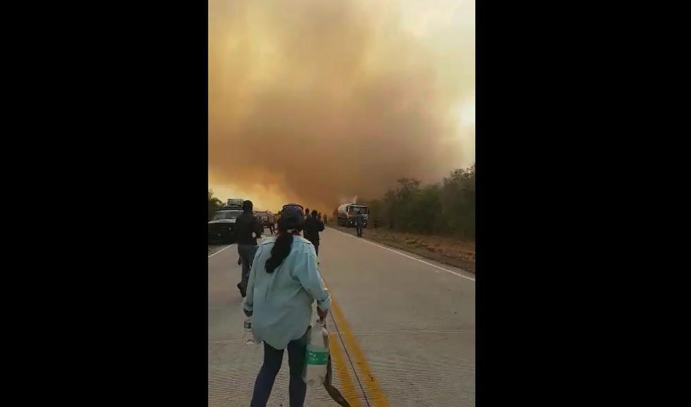 Bolivia: Impactantes imágenes del incendio forestal que se ha reavivado en el distrito de Roboré. (Jhanael Justiniano)