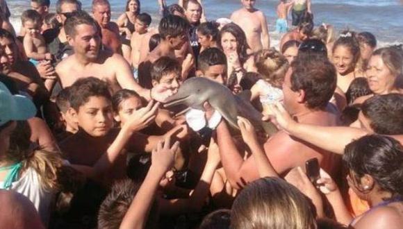 El año pasado en Argentina bañistas sacaron a un delfín del mar para tomarse selfies y también murió. (Infozona)