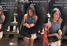 Quiso fotografiarse con un elefante, pero la reacción del animal generó pánico [VIDEO]