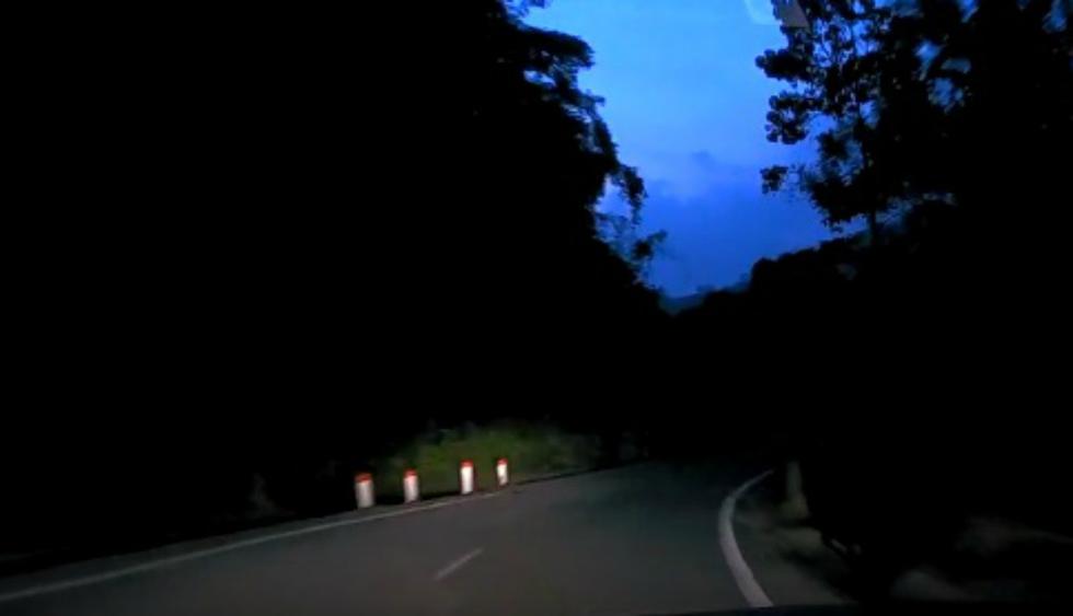 Responsable de la filmación señaló que la carretera es conocida por ser peligrosa debido a que varios animales la cruzan de forma repentina. (Foto: Captura/YouTube)