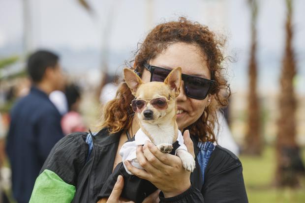 Magdalena del Mar inaugura parque canino de 6,000 m2 en la Costa Verde, Noticias