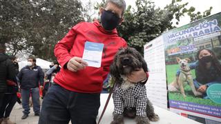 Mascotas recibieron vacuna contra la rabia con disfraces y en pijama en parque La Alborada [FOTOS]