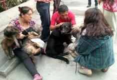 Bomberos rescataron a siete mascotas de incendio en Callao