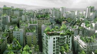 Publican ordenanza que promueve construcción de edificaciones con techos verdes en Miraflores