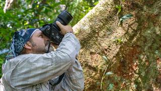 ‘Safaris Fotográficos’: ARBIO Perú ofrece charlas digitales gratuitas enfocadas en la fotografía de la naturaleza