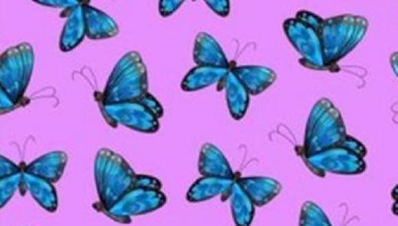 ¿Podrás encontrar a la mariposa diferente en 10 segundos? Ponte a prueba
