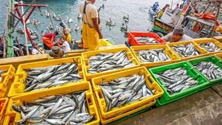 Produce: Desembarque de recursos pesqueros superó los 1.03 millones de toneladas en junio 2022