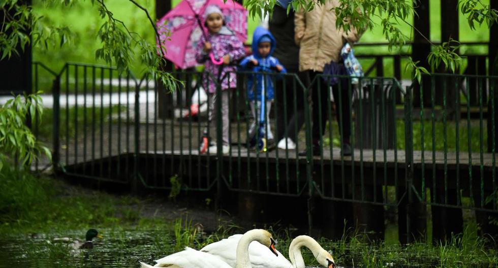 La gente mira a los cisnes en un parque reabierto en las afueras de Moscú el 31 de mayo de 2020. (AFP / Kirill KUDRYAVTSEV).
