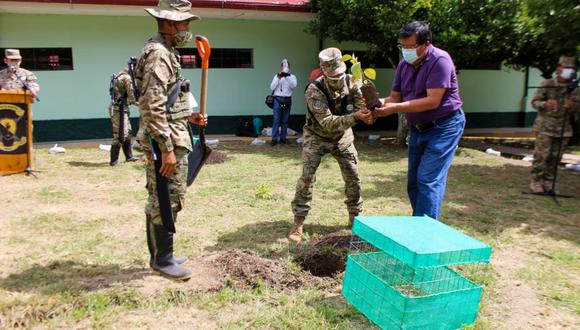 Con participación del Ejército se desarrolló en el cuartel de Macamango, distrito de Santa Ana, provincia de La Convención, el lanzamiento de la campaña "QuinaÁrbolDelBicentenario", especie emblemática de nuestro país.
