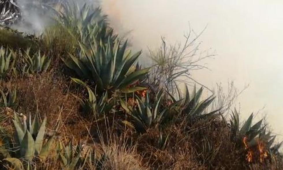 El incendio afectó más de 30 hectáreas de cultivos. (Foto: Captura video Municipalidad Chacayán)