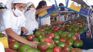Minagri estima que agroexportaciones peruanas crecerán 18% en 2014