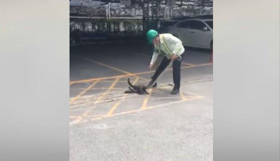El hombre, al ver al gato en peligro, no dudó en ayudarlo. (YouTube: ViralHog)