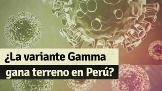 Covid-19 en Perú: variante Gamma del coronavirus pasaría a ser la prevalente en el país