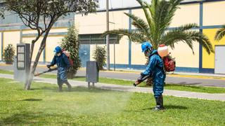 Intervienen parques del Cercado de Lima para evitar plagas de roedores e insectos