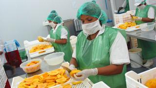 Aumentaron las exportaciones de mangos a China, aseguró Sunat