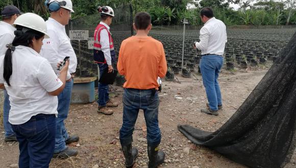San Martín: Sunafil paraliza trabajos en campo de pampa aceitera, donde empresa ponía en riesgo biológico y físico de 191 trabajadores (Foto: Sunafil)