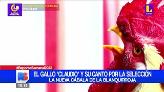 El Gallo Claudio: Conoce a la nueva cábala de la Selección Peruana