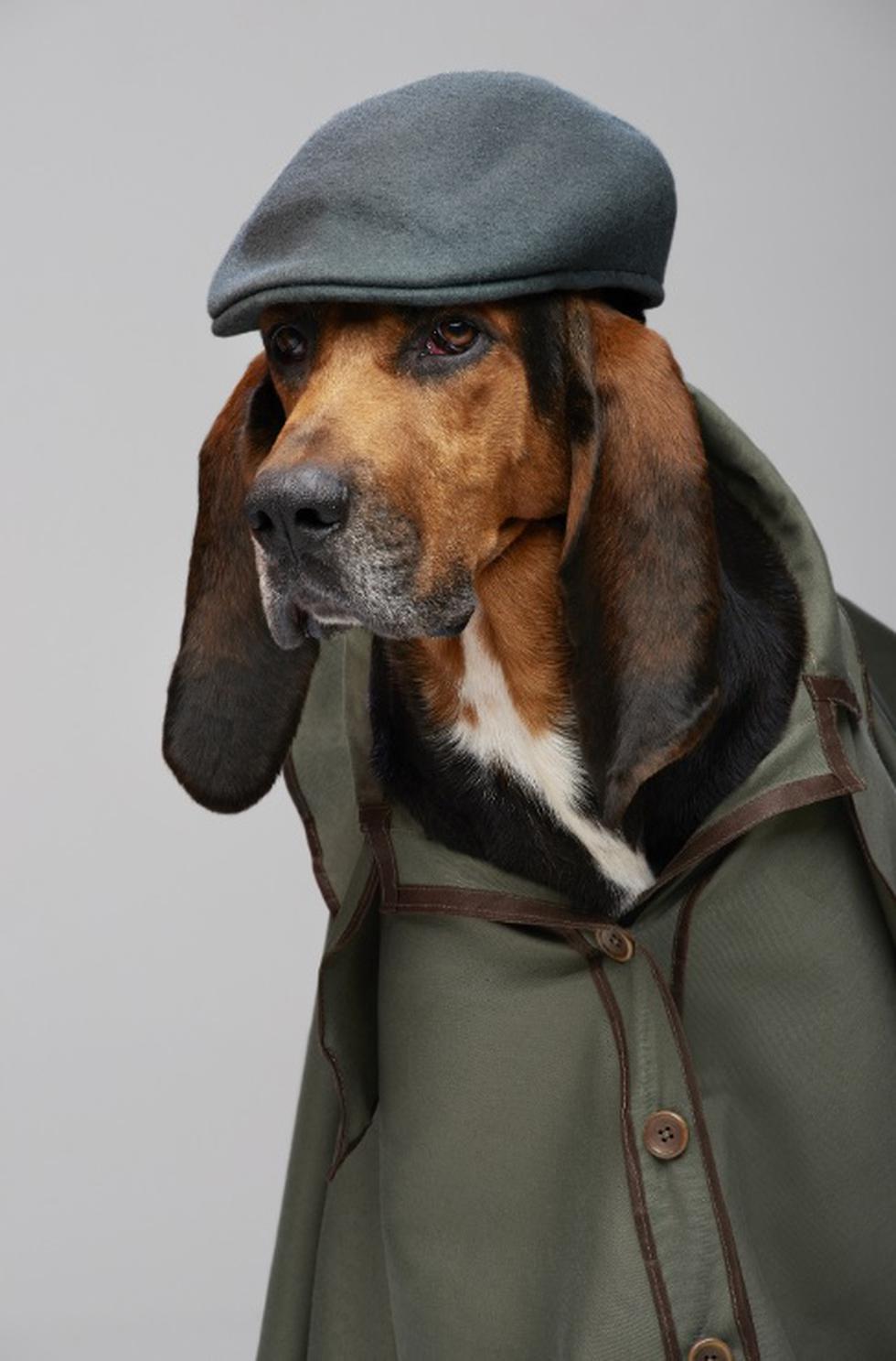 Nat Geo estrena 'Buscadores de mascotas', la serie sobre detectives caninos