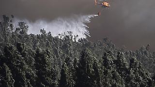Portugal: Controlan incendio forestal en elAlgarve