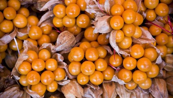 El Mincetur busca la mejora de la competitividad de frutales, productos andinos y productos hidrobiológicos. (Foto: Mincetur/Difusión)