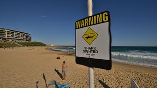 Australia: Adolescente de 15 fallece tras ataque de tiburón, la segunda muerte en una semana