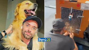 Desgarrador: Perro murió luego de pasar 8 horas encerrado en un vuelo equivocado (VIDEO)