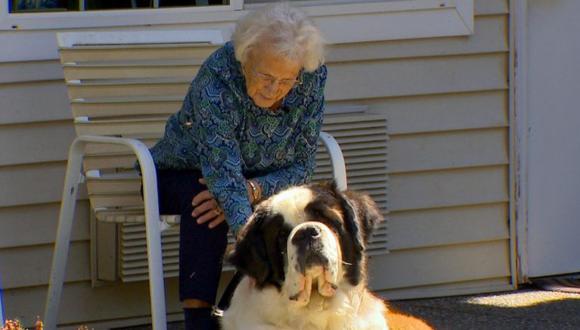 Una adorable anciana y un enorme San Bernardo demuestran que su amistad es a prueba de todo. (Foto: Komo News en YouTube)