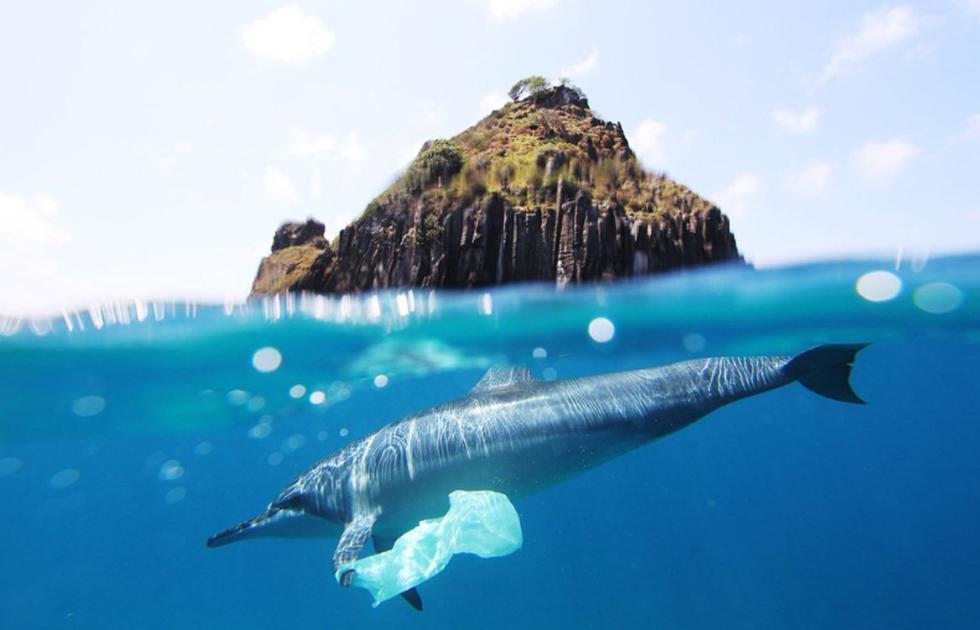 Yate medioambiental que detecta plástico en el mar busca concienciar sobre esta situación. (USI)