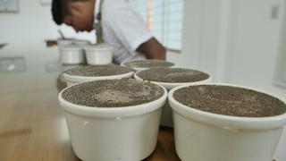 Escuela de Catación de café del BPAM lanza primer curso internacional Q Grader