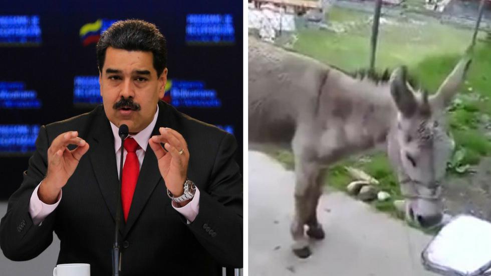 Dos bomberos podrían pasar un par de décadas tras las rejas por haber comparado a Nicolás Maduro, presidente de Venezuela, con un burro. (YouTube / EFE)