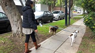Coronavirus en el Perú: ¿Se puede sacar a pasear a tu mascota ante el estado de emergencia nacional? [VIDEO]