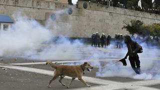 Lukánikos: Murió el perro de las manifestaciones en Grecia [Fotos y video]