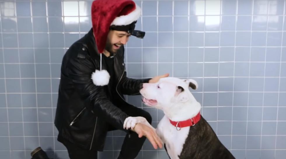 A pocos días de la Navidad, un mago decidió a un grupo de cachorros de un refugio. Su reacción se ha robado el corazón de YouTube.