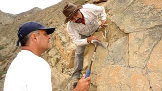 Lambayeque: Hallan restos fósiles de pez de más de 100 millones de años
