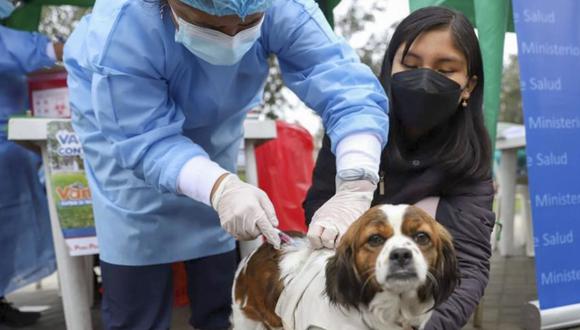 Es importante vacunar a los perros para evitar casos de rabia. (Foto referencial)