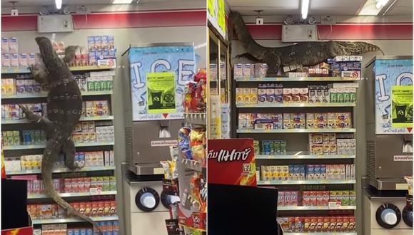 Lagarto gigante causa pánico en una tienda 7-Eleven de Tailandia. (Foto: Jejene Narumpa)