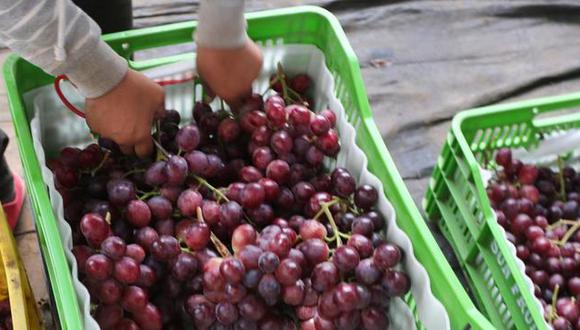 La exportación de uva superó las 400,000 toneladas durante la campaña 2020-2021. (Foto: GEC)