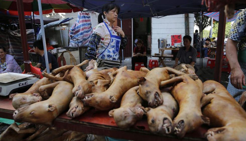 China: El salvaje festival de carne de perro en Yulin que horroriza al mundo. (EFE)