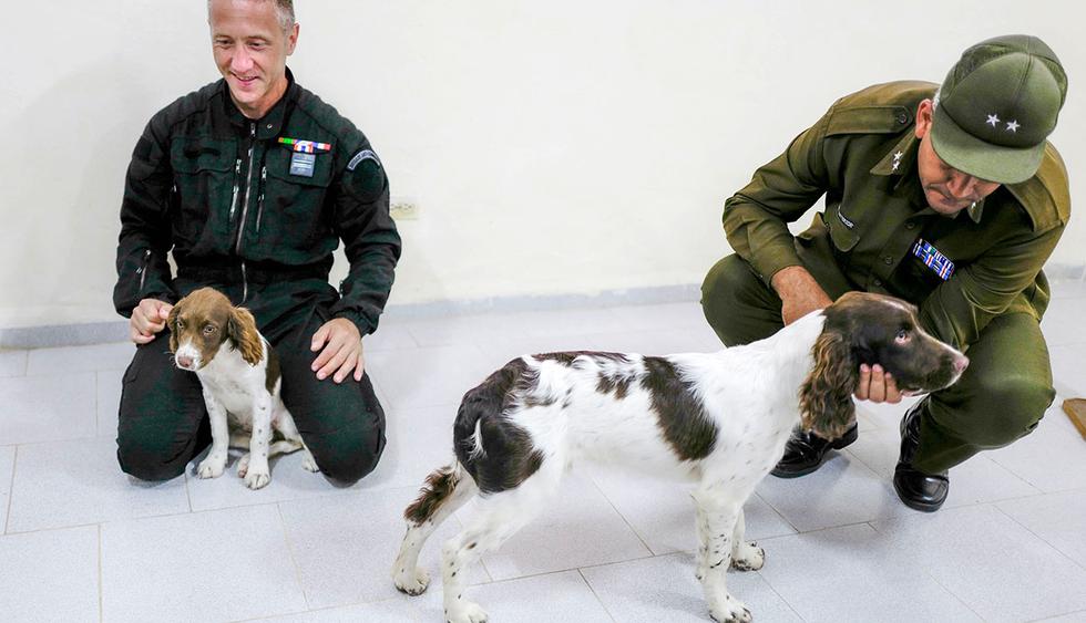 El experto en perros de policía francesa David Berceau (izquierda) entrega caninos donados por el gobierno francés a un funcionario cubano. (Foto: AFP)