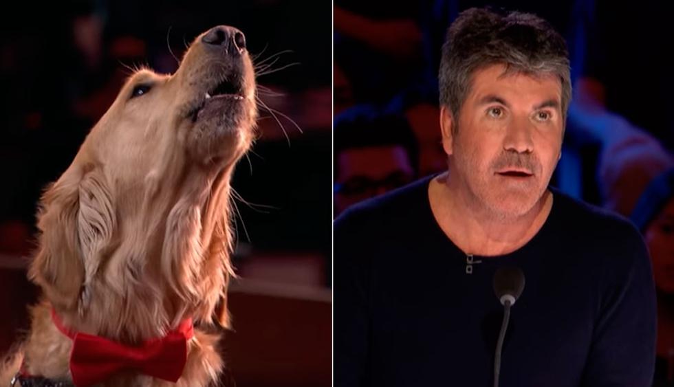 El perro Oscar dejó sorprendido a toda la audiencia de America's Got Talent' y al propio Simon Cowell con su canto. (Foto: YouTube/captura)