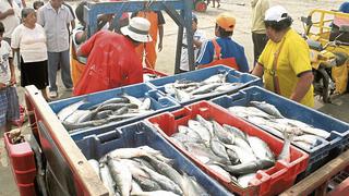 Ministerio de la Producción anunció que se formalizaron 6,080 pescadores
