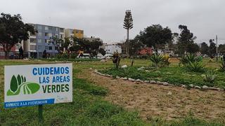 Surco: convierten terreno eriazo en un área verde de más de 19 mil metros cuadrados
