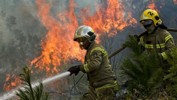 Lamentable. La mayor catástrofe forestal de la historia de Chile. (AP)