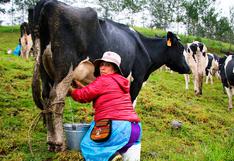 Más de 400 mil productores de la ganadería familiar se beneficiarán con el ingreso de Perú a Federación Panamericana de Lechería