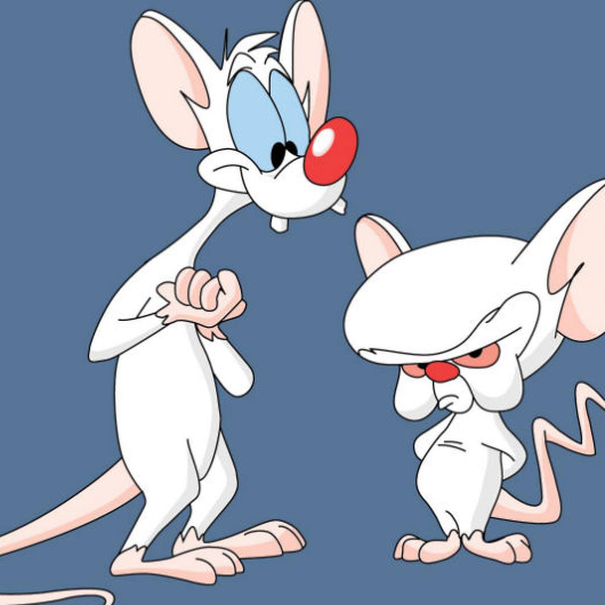 Pinky y Cerebro': 11 datos de los ratones más ambiciosos de la TV a 20 años  de su estreno | ESPECTACULOS | PERU21