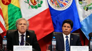 Pedro Castillo: Congresistas de oposición rechazan que se active la Carta Democrática de la OEA