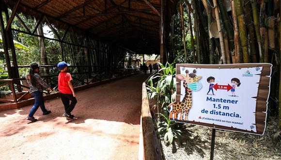 Los zoológicos volverán a abrir sus puertas de lunes a sábados para el beneficios de grandes y pequeños. (Foto: MML)