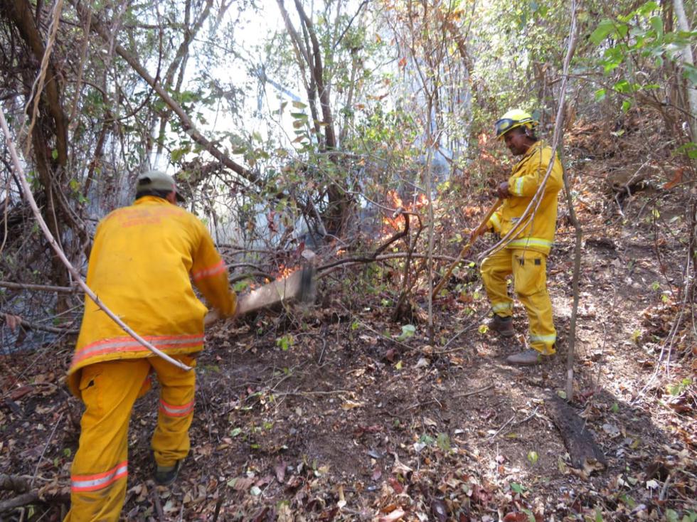 Sernanp informó que gracias a los bomberos forestales y guardaparques se logró controlar el incendio forestal. (Foto: Andina)