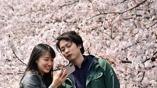 “Solteros parásitos”, ¿por qué los jóvenes de Japón no se casan?