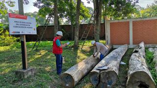 CITEforestal Pucallpa certificó a la primera promoción de cubicadores de madera de Ucayali